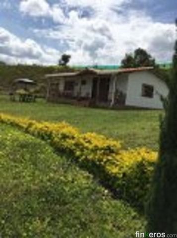 Guayacanes - Finca en Curití, Santander